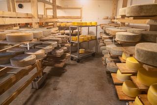 Gruyère AOP : lait cru, cuivre et âges de la meule